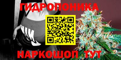 стафф Краснодар