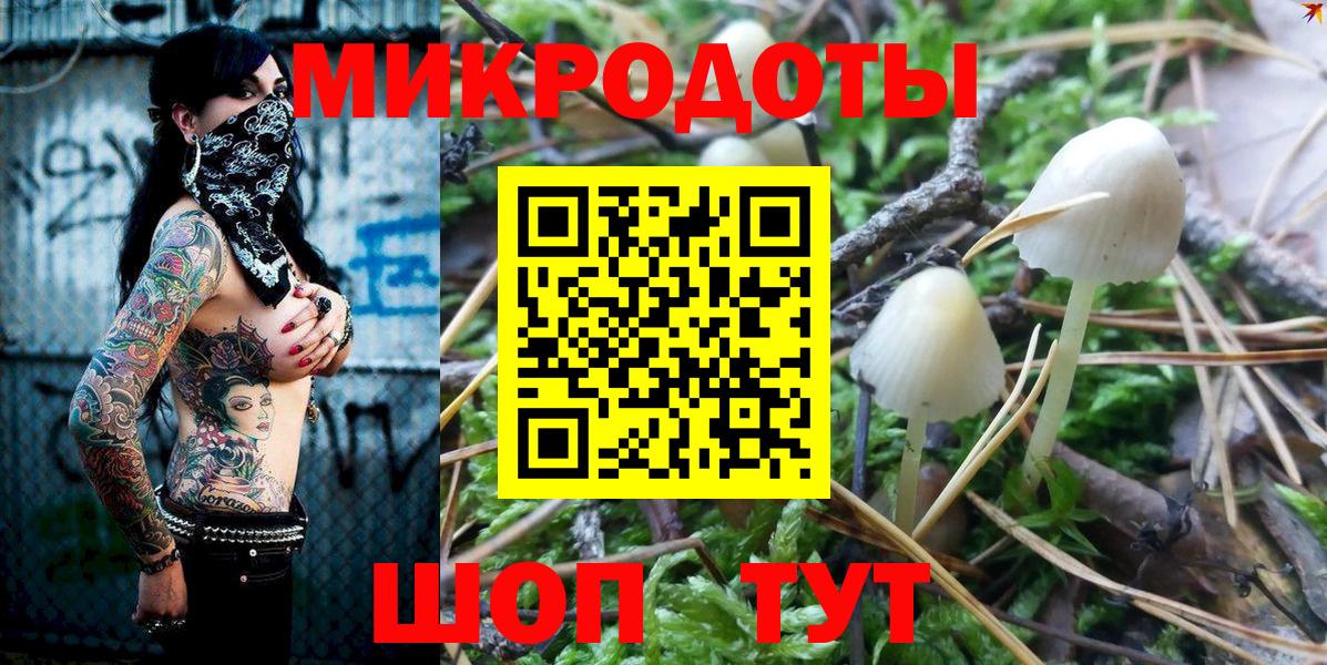 Псилоцибиновые грибы Psilocybe Тайшет