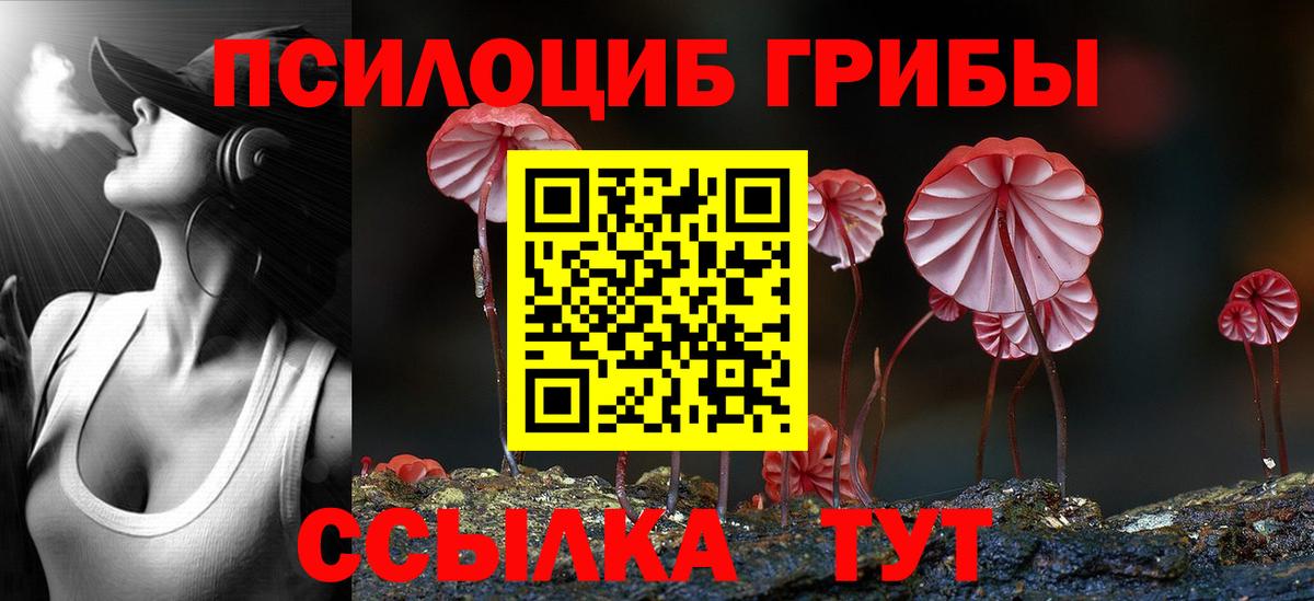 Тайшет  Псилоцибиновые грибы прущие грибы  Псилоцибиновые грибы Magic Shrooms  Вход с VPN 
